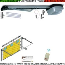 PORTE BASCULANTI SEZIONALI MOTORE 220/24V TRAINA 100 KG RICAMBIO QUALSIASI MARCA