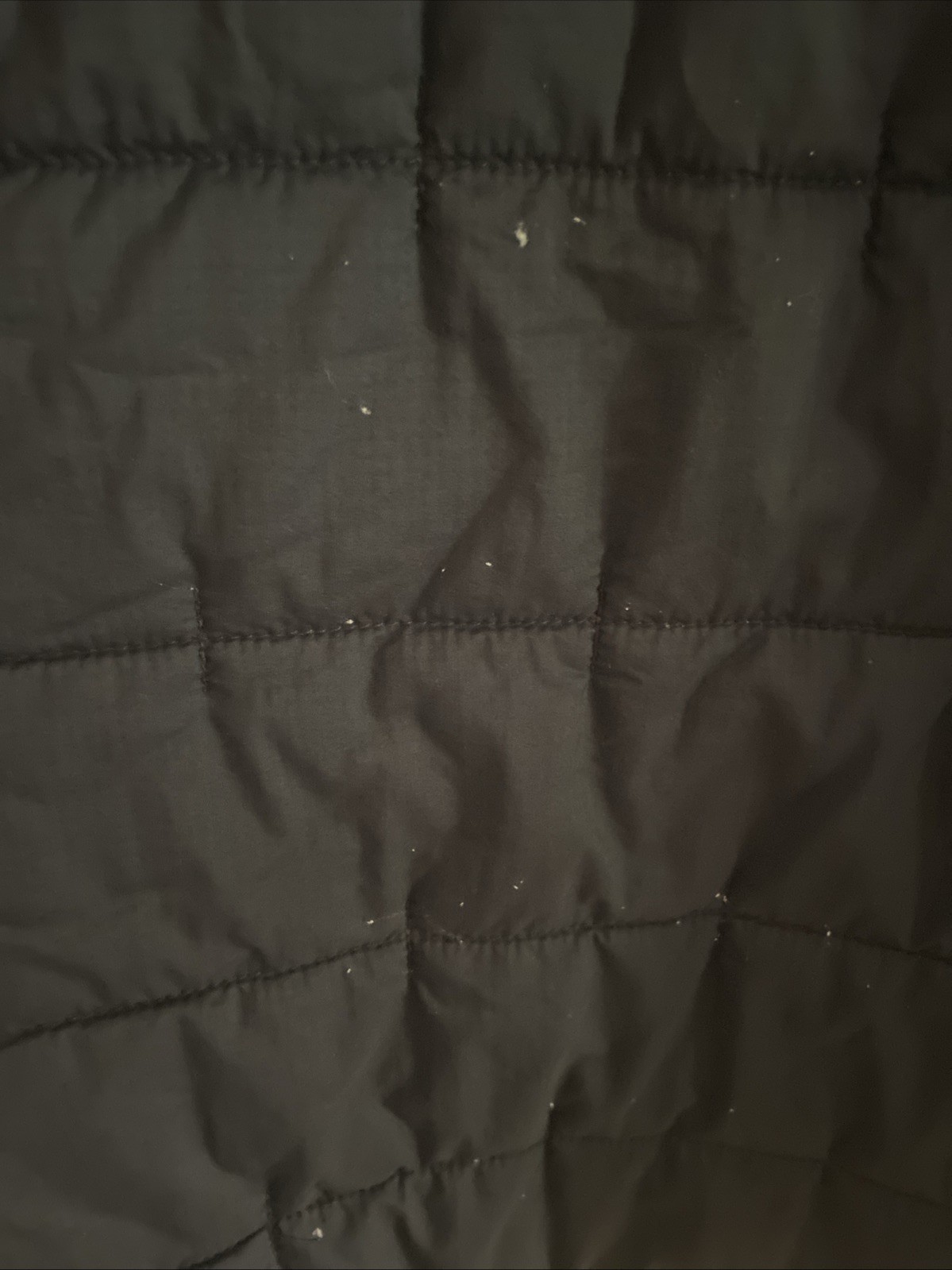 Picture 5 of 5