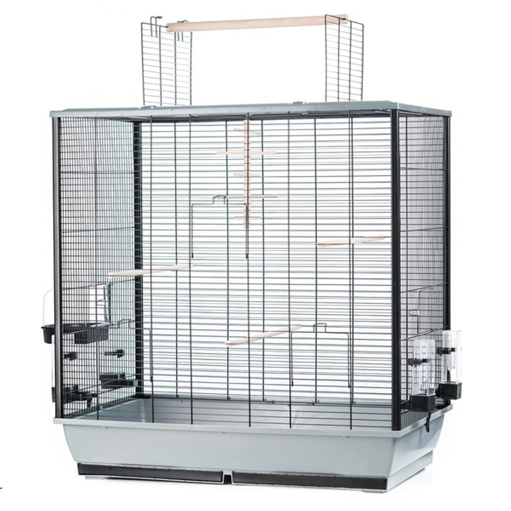 Large Bird Cage Canary Parakeet Large Parakeet With Patio And Accessory