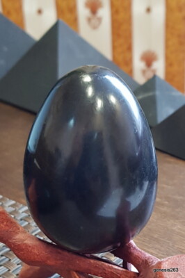 Schungit Ei 8 cm poliert original aus der ZAZHOGINSKIJ MINE! Shungite egg