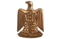 Iraqi Beret Eagle Pin Insignia Hat Cap - Iraqi OIF / Desert Storm Bringback