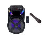 Roar RS-02  Portable Battery Bluetooth PA Speaker inc Wireless Mic Karaoke 500W
