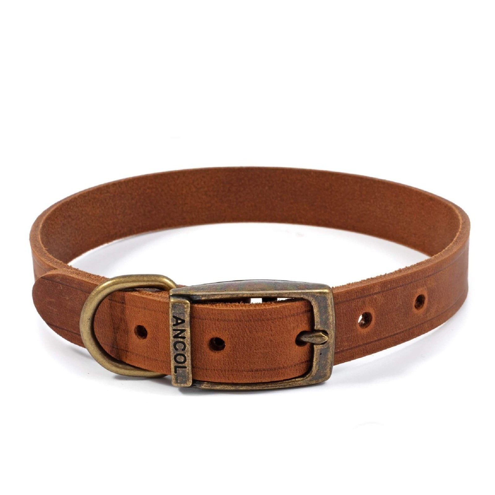 Ancol Latigo Luxury Leather Dog Collar Chestnut 28cm-36cm, S (Size 3) 107200