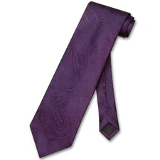 Vesuvio Napoli NeckTie DARK PURPLE Color Paisley Design Mens Neck Tie