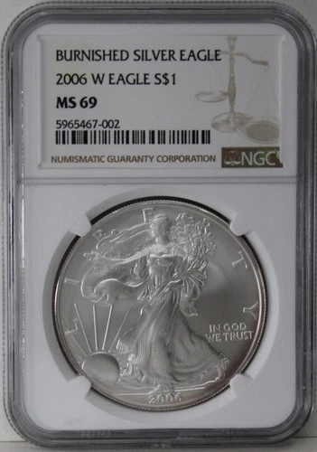 2006 W American Silver Eagle NGC MS69 First Year Burnished