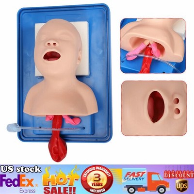 Intubation Manikin for Baby Airway Management Training Model