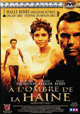 DVD - IM SCHATTEN DES HASSES - Halle Berry
