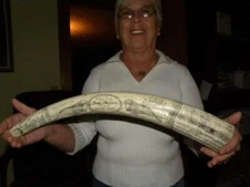 Scrimshaw RESIN REPLICA tusk " THE WHALER PRINCE, OCT 17, 1841