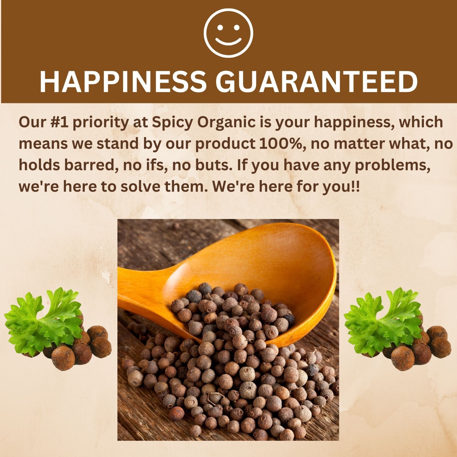 USDA Organic Allspice Berries - Whole Pimenta Dioica, Kosher, Gluten-Free