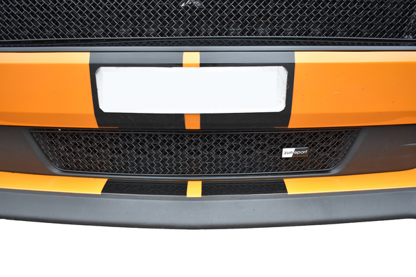 Ford Mustang GT Facelift - Unterer Grill, Schwarz (2018 -)-image
