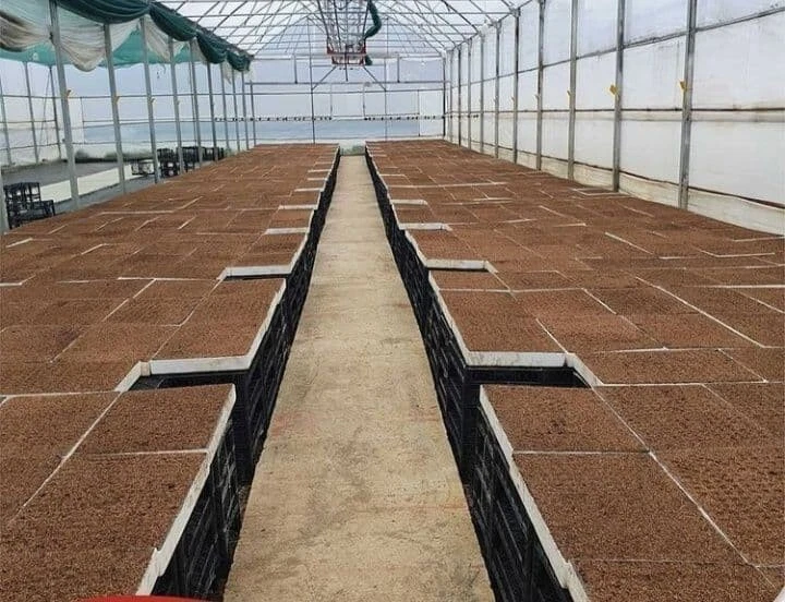 Cow Manure + Vermicompost ( Dried and cleaned) Fertilizer Organic - Farm made - Image 4 of 4