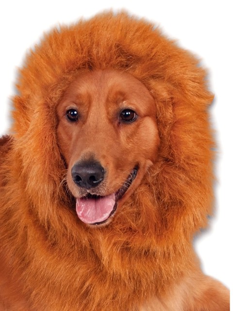 Rubie's Deluxe Lion's Mane, One Size (Adjustable)