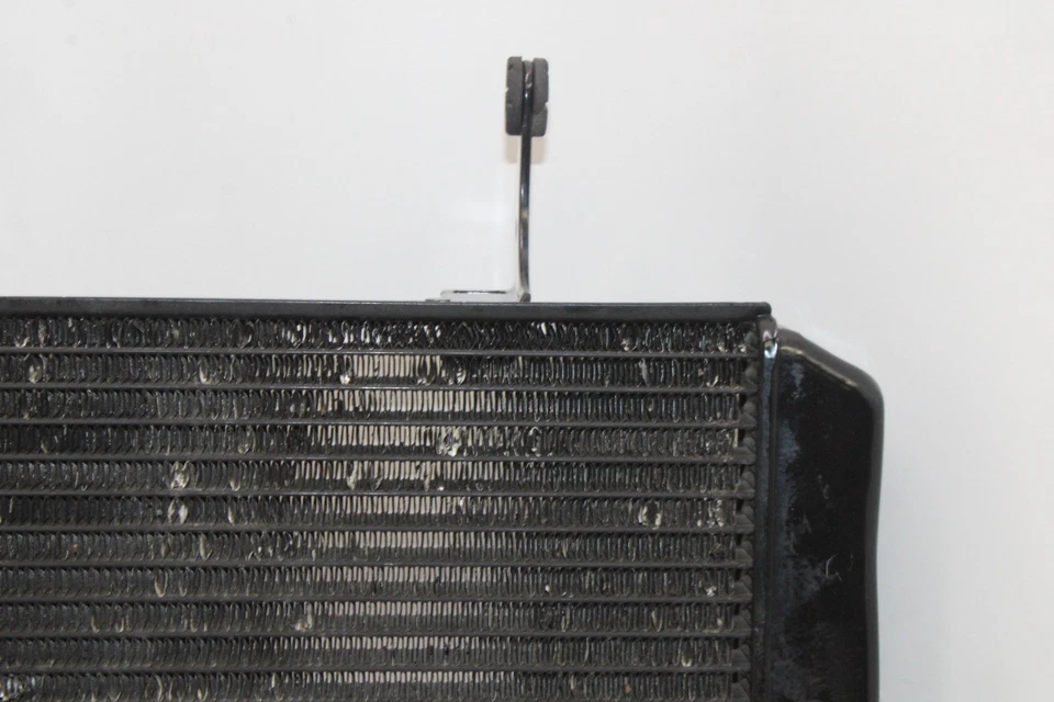 04-09 SUZUKI VSTROM 650 DL650 OEM MOTOR RADIADOR MOTOR ENFRIADOR RADIADOR DE REFRIGERACIÓN Foto 3 de 4