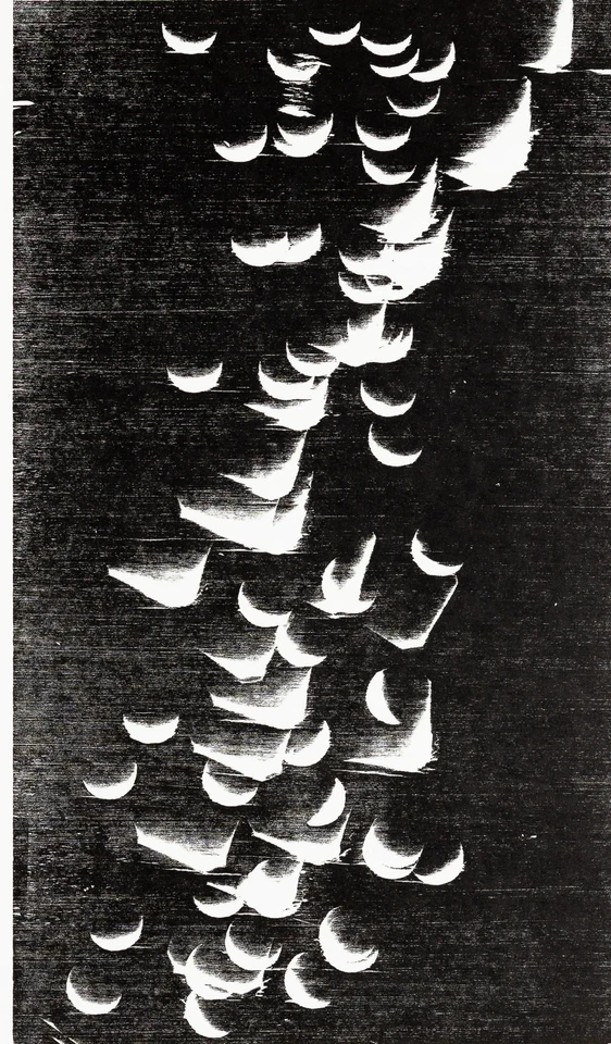 Hans HARTUNG: The Flight - 原版平版画 — 第 4/4 张图片