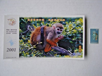 2001 Squirrel Monkey POSTCARD FROM CHINA NEW CONDITION #114711 & SURINAME STAMP