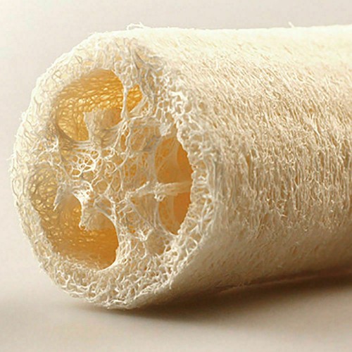 Fregadora 6 Piezas Esponja Esponja Natural Luffa Cocina Spa Baño Exótico Limpio - Imagen 9 de 9