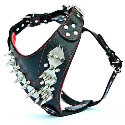 custom pitbull harness