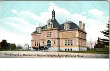Museum of Natural History, PROVIDENCE, Rhode Island Postcard - Hugh C. Leighton