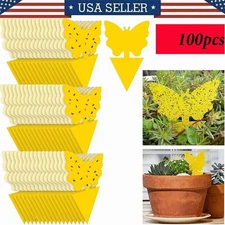 100pcs Sticky Fruit Fly Traps, Fungus Gnat Killer Trap use for Indoor Outdoor US