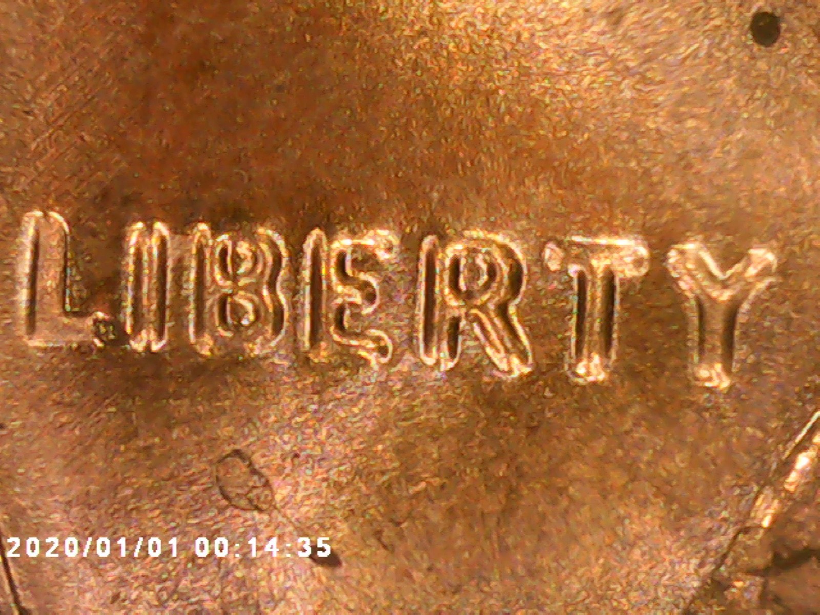 Picture 6 of 16
