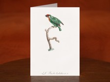 Vieillot's barbet by Jacques Barraband (1806) - A5 Art Print Greeting Card