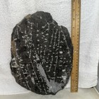Picture 2 of 5