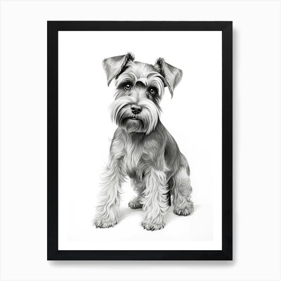 Miniatur Schnauzer Hund, Linienzeichnung gerahmtes Wandbild Poster Leinwanddruck Bild