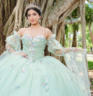 Mexican Light Green Quinceanera Dress Ball Gown Puffy Sleeve Applique  Beading | eBay