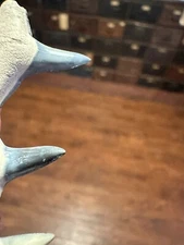 TRIO BONE VALLEY LEMON Shark Tooth NATURAL FOSSIL FLORIDA