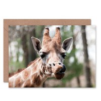 Birthday Animal Photo Giraffe Licking Nostril Blank Greeting Card With Envelope