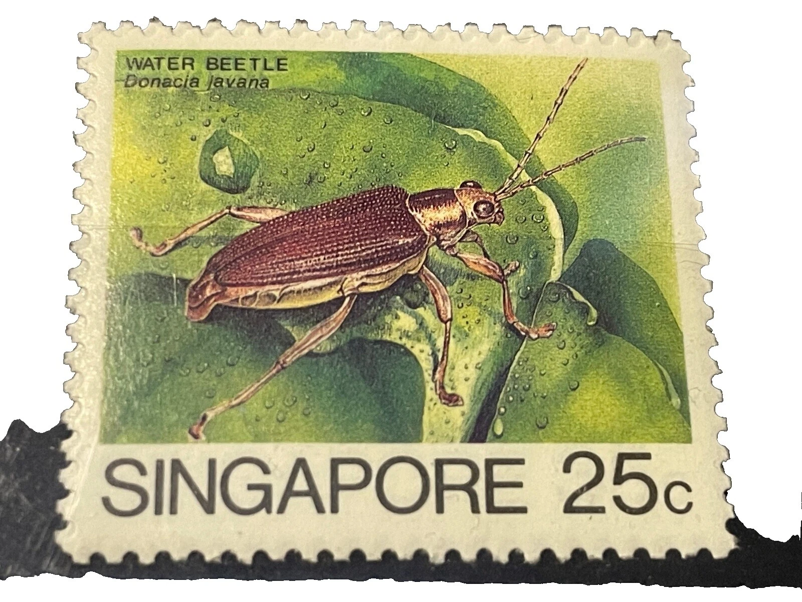 Estampillas de Singapur individuales (1963-presente)