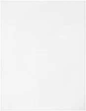 CousinDIY Plastic Canvas 10 Count 10"X13"-White