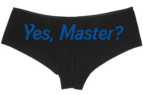 JA MASTER Daddy? ddlg bdsm gehorsam unterwürfig Boyshort Unterwäsche sexy Höschen - Bild 18 von 23