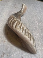 Kosher Polished Genuine Shofar Horn made in israel