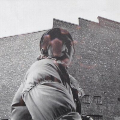 Aldous Harding - Warm Chris (LP) New Sealed Vinyl