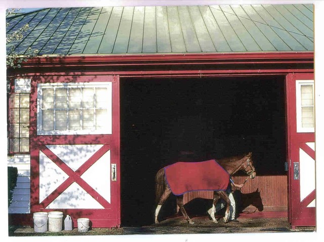 Cooling A Runner At The Famed Calumet Thoroughbred Horse Farm