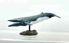 Japan Kaiyodo Choco Q Minke Whale Miniature Animal Realistic Figure