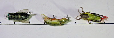 Rebel Lures: Bumble Bug .1oz., Crawdad .1oz. & Soft Plastic Lifelike Hopper-NEW?