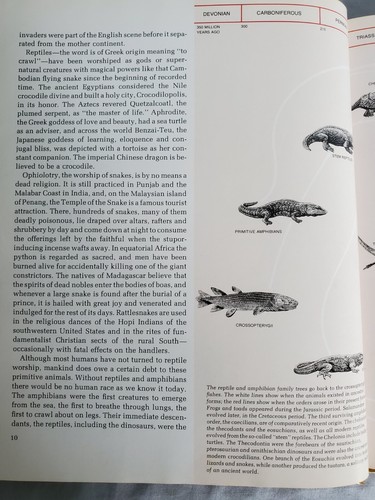 The Wild, Wild World of Animals-Asst Hardcover, Not all Title Shown, Choice! - Imagen 39 de 41