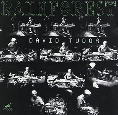 DAVID / KOSUGI TUDOR - Rainforest Versions 1 And 4 - CD - Excellent Condition