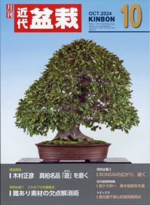 Japanese Bonsai Magazine KINBON 2024.10 Kindai Bonsai | eBay