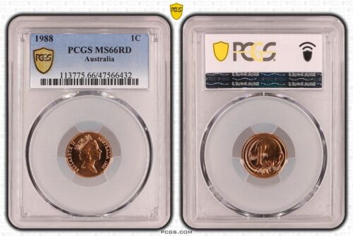 Australia 1988 One Cent 1c Coin PCGS MS66RD #6432 - Foto 1 di 1