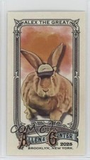 2025 Topps Allen & Ginter Mini Alex The Great #230 0o6v