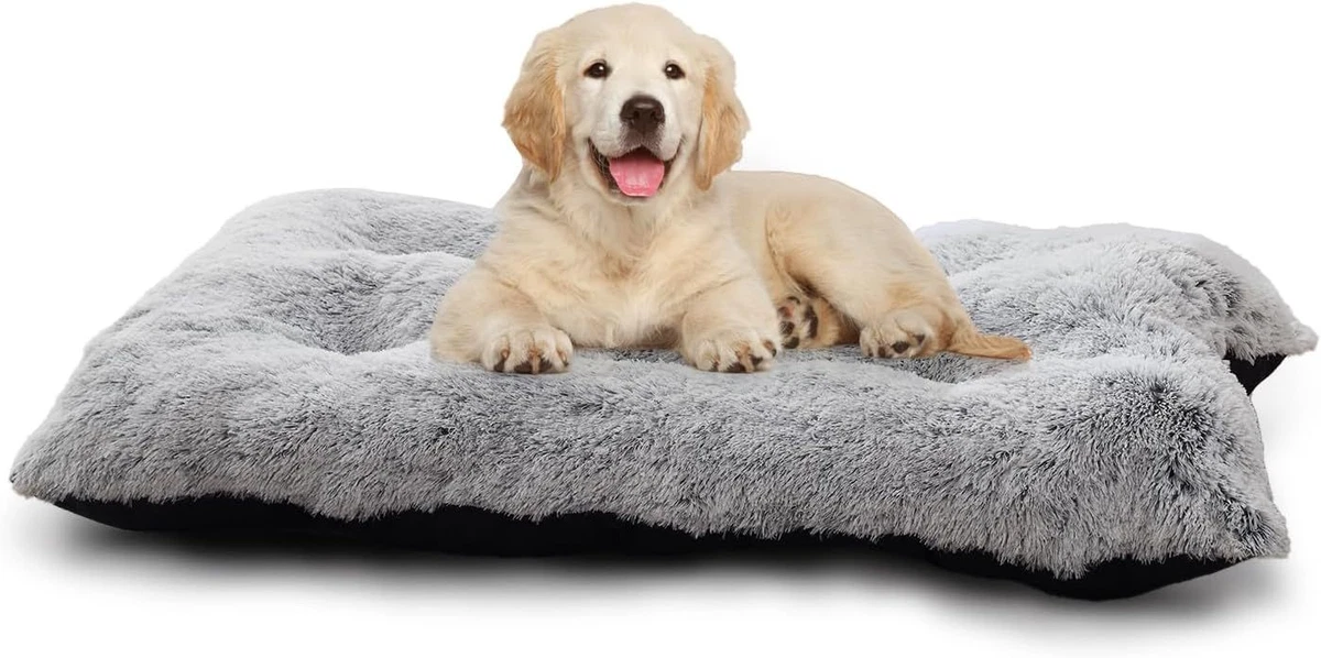 Ebay on sale dog beds