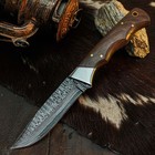 8.8"  Handmade Damascus Collector Knife Full Tang Wood Handle Leather Sheath — photo 2