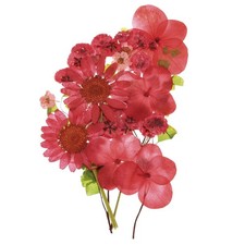 PATIKIL Dried Pressed Flowers, Real Dry Leaves Flowers for Scrapbook Supplies...