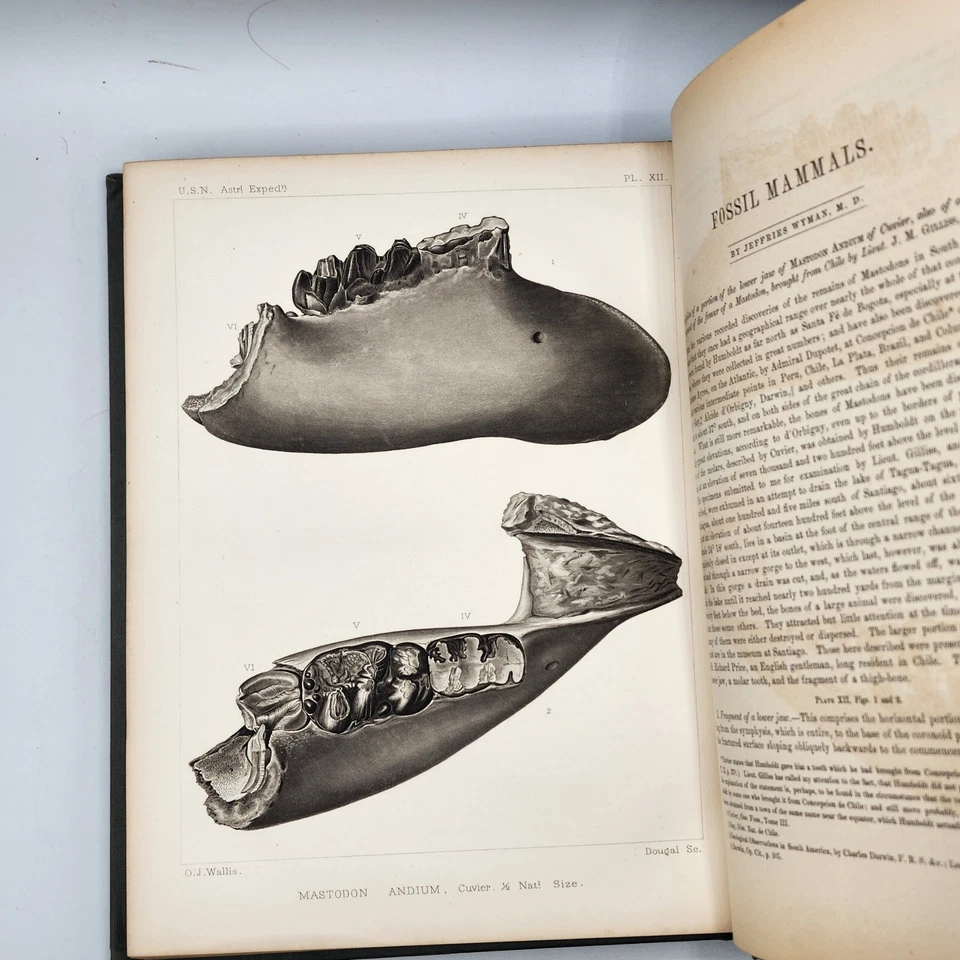 RARE 1st ed. 1855 U.S naval astronomical expedition to the southern hemisphere  - Image 4 of 4