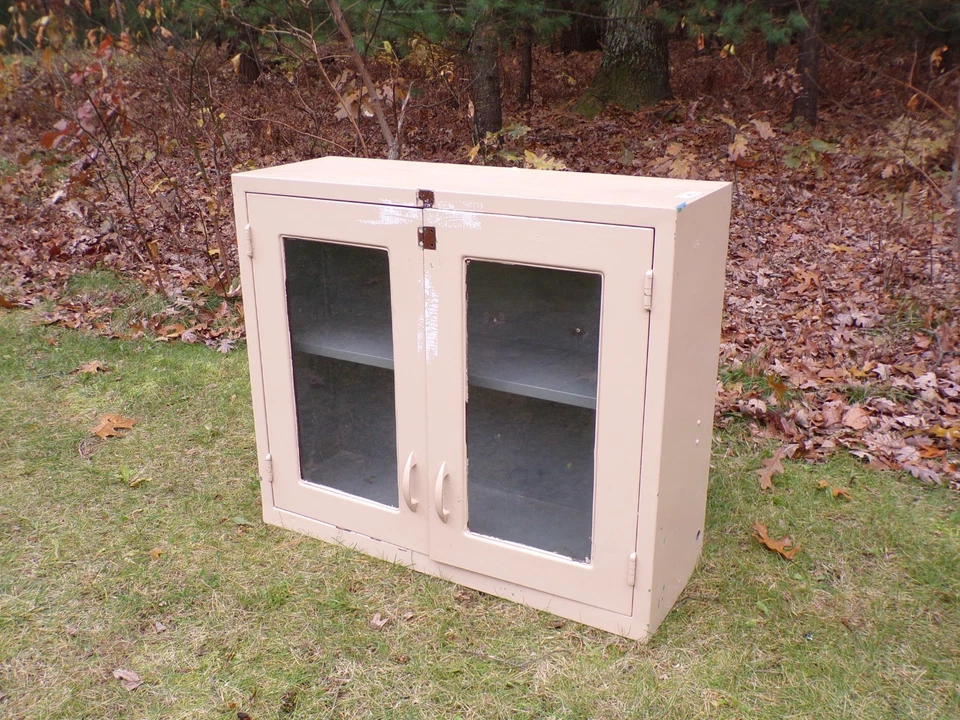 Gabinete de pared vintage de vidrio y metal para boticario dental de mediados de siglo  Foto 2 de 4