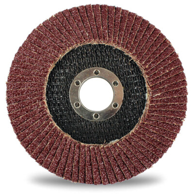 Fächerscheiben Lamellenscheiben Schleifscheiben Ø125mm K36, K40, K60, K80, K120