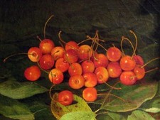 berry cherry on leaves Accent Tile Mural Kitchen Bathroom Backsplash Ceramic 8x6